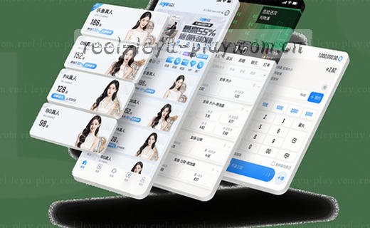 数据档案：精准洞察